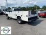 2017 Summit White /Dark Ash/Jet Black Chevrolet Silverado Work Truck (1GB3CYCG4HZ) with an V8, 6.0L engine, 6-speed automatic transmission, located at 6520 E. Independence Blvd., Charlotte, NC, 28212, 35.146019, -80.723465 - Photo#8