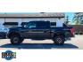 2016 Shadow Black /Brunello Ford F-150 Platinum (1FTEW1EG8GF) with an V6, 3.5L engine, 6-speed automatic transmission, located at 6520 E. Independence Blvd., Charlotte, NC, 28212, 35.146019, -80.723465 - <b>Equipment</b><br>The leather seats in this 1/2 ton pickup are a must for buyers looking for comfort, durability, and style. Start the Ford F-150 from inside with remote start. This Ford F-150 has auto-adjust speed for safe following. Bluetooth technology is built into this model, keeping your han - Photo#3