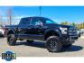 2016 Shadow Black /Brunello Ford F-150 Platinum (1FTEW1EG8GF) with an V6, 3.5L engine, 6-speed automatic transmission, located at 6520 E. Independence Blvd., Charlotte, NC, 28212, 35.146019, -80.723465 - <b>Equipment</b><br>The leather seats in this 1/2 ton pickup are a must for buyers looking for comfort, durability, and style. Start the Ford F-150 from inside with remote start. This Ford F-150 has auto-adjust speed for safe following. Bluetooth technology is built into this model, keeping your han - Photo#7